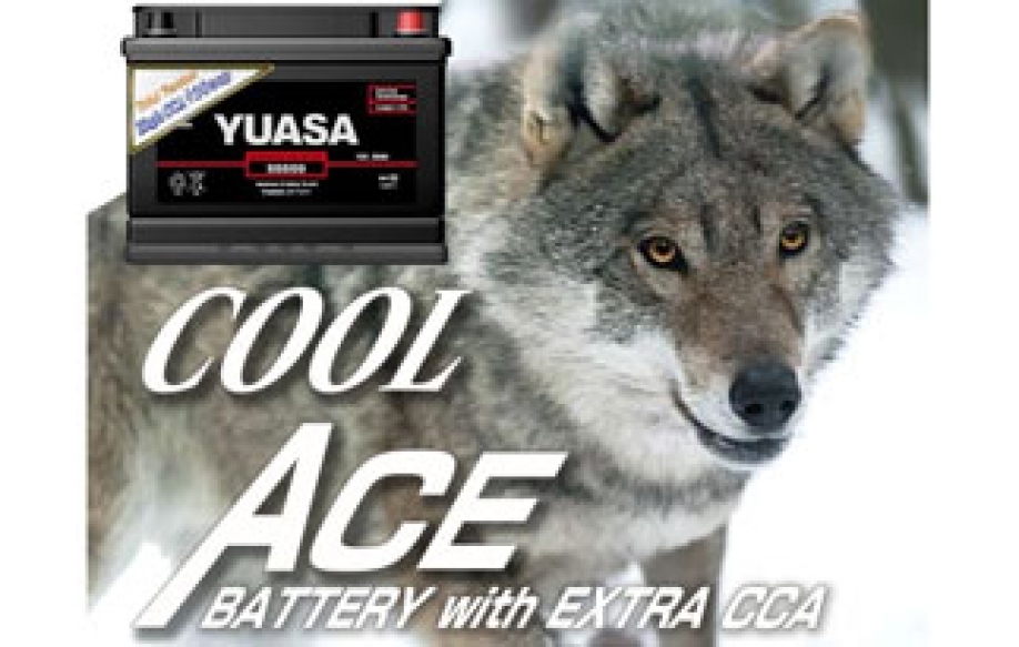 YUASA Cool Ace – официально в RULink